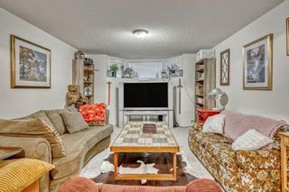 Photo 22: 6 inverness Park in Calgary: McKenzie Towne Detached for sale : MLS®# A2024450