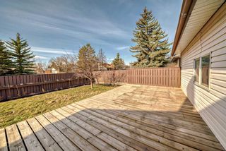 Photo 41: 2044 Pinetree Crescent NE in Calgary: Pineridge Detached for sale : MLS®# A2124958