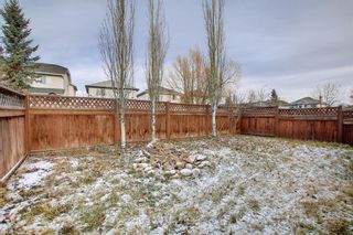 Photo 34: 12 Chapalina Manor SE in Calgary: Chaparral Detached for sale : MLS®# A1164067