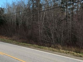 Photo 7: 2.3 Acres Highway 308, Tusket, Nova Scotia