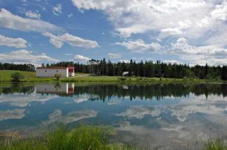 Photo 28: Hwy 762: Rural Foothills County Detached for sale : MLS®# A2119697
