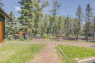 Photo 42: 178125 240 Street W: Rural Foothills County Detached for sale : MLS®# A2061172