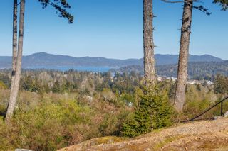Photo 42: 2183 Stonewater Lane in Sooke: Sk Broomhill House for sale : MLS®# 874131