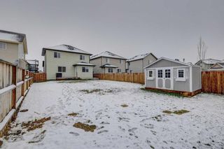 Photo 30: 866 Canoe Green SW: Airdrie Detached for sale : MLS®# A2125464