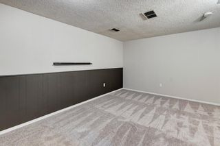 Photo 23: 43 Templemont Drive NE in Calgary: Temple Semi Detached for sale : MLS®# A1228299