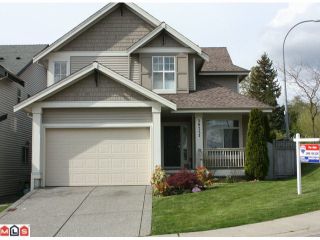 Photo 1: 20223 70A AV in Langley: Willoughby Heights House for sale : MLS®# F1211395
