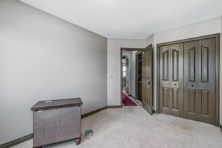 Photo 11: 159 PANAMOUNT View NW in Calgary: Panorama Hills Detached for sale : MLS®# A2054642