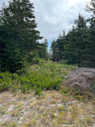 Photo 10: Lot West Sable Road in Little Harbour: 407-Shelburne County Vacant Land for sale (South Shore)  : MLS®# 202221531