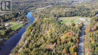Photo 5: 895 Route 148 in Taymouth: Vacant Land for sale : MLS®# NB093726
