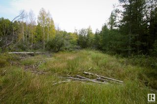 Photo 7: NW 27 60-14 W4: Rural Smoky Lake County Rural Land/Vacant Lot for sale : MLS®# E4311581