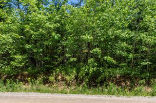 Photo 16: Lot 9 Old Renfrew Road in Upper Rawdon: 105-East Hants/Colchester West Vacant Land for sale (Halifax-Dartmouth)  : MLS®# 202306245