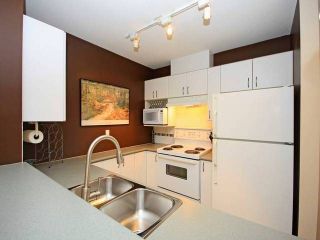 Photo 5: # 310 175 E 10TH ST in North Vancouver: Central Lonsdale Condo for sale : MLS®# V1100295
