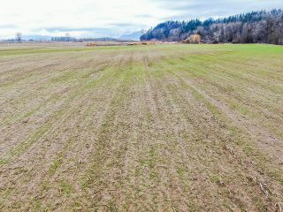 Photo 14: 735 TUYTTENS Road: Agassiz Agri-Business for sale : MLS®# C8048974