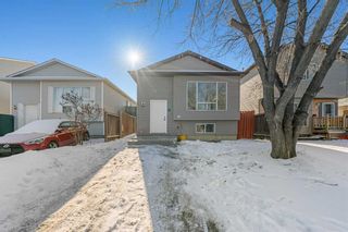 Main Photo: 51 Martindale Boulevard NE in Calgary: Martindale Detached for sale : MLS®# A2107402