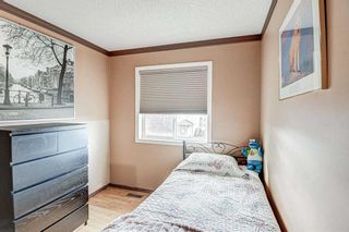 Photo 16: 228 Martindale Drive NE in Calgary: Martindale Detached for sale : MLS®# A2086435