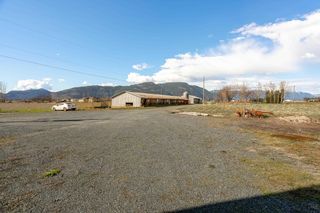 Photo 36: 40650 NO. 5 Road in Abbotsford: Sumas Prairie Agri-Business for sale : MLS®# C8050431