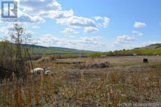 Photo 3: 17 Deer Meadows in Rural Peace No. 135, M.D. of: Vacant Land for sale : MLS®# A1234180
