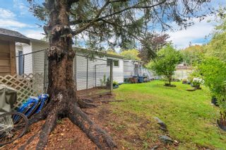Photo 28: 47 951 Homewood Rd in Campbell River: CR Campbell River Central Manufactured Home for sale : MLS®# 856814