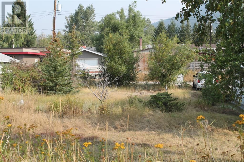 Main Photo: 11333 20 Avenue in Blairmore: Vacant Land for sale : MLS®# A1104042