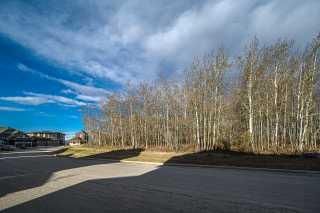 Photo 47: 7 Springbluff Point SW in Calgary: Springbank Hill Detached for sale : MLS®# A2123396