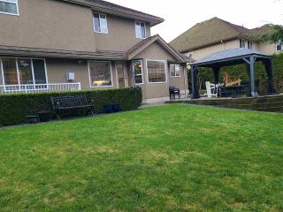 Photo 31: 34747 MILLSTONE Way in Abbotsford: Abbotsford East House for sale : MLS®# R2528756