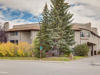 Photo 1: 212 2425 90 Avenue SW in Calgary: Palliser Apartment for sale : MLS®# A2027175