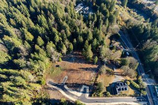 Photo 6: 31183 DEWDNEY TRUNK Road in Mission: Stave Falls Land for sale : MLS®# R2757090