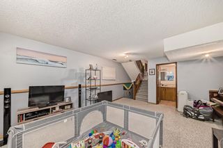 Photo 14: 1028 Mckinnon Drive NE in Calgary: Mayland Heights Detached for sale : MLS®# A2127341