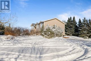 Photo 20: 1 Alywards Road in Cape Broyle: House for sale : MLS®# 1254129