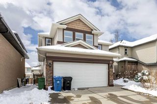 Photo 47: 13 Royal Birch Hill NW in Calgary: Royal Oak Detached for sale : MLS®# A2121795