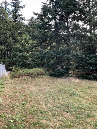 Photo 5: 365 7TH AVENUE in Hope: Vacant Land for sale : MLS®# R2810151
