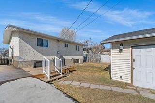 Photo 18: 119 Dovercliffe Way SE in Calgary: Dover Detached for sale : MLS®# A2116445