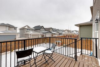 Photo 39: 16 Masters Common SE in Calgary: Mahogany Detached for sale : MLS®# A1203058
