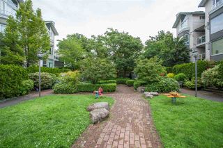 Photo 13: 101 248 E 18TH Avenue in Vancouver: Main Townhouse for sale in "NEWPORT" (Vancouver East)  : MLS®# R2491770