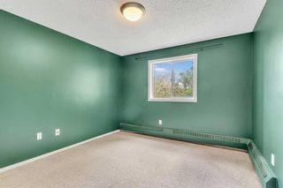Photo 10: 313 21 Dover Point SE in Calgary: Dover Apartment for sale : MLS®# A2142317