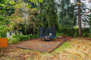 Photo 30: 7325 Chatwell Dr in Central Saanich: CS Saanichton House for sale : MLS®# 918710