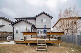 Photo 43: 145 Royal Birch Crescent NW in Calgary: Royal Oak Detached for sale : MLS®# A1205184
