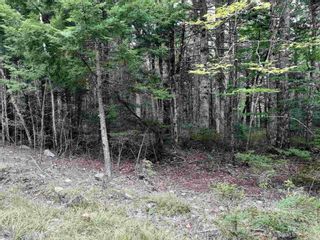 Photo 3: Lot 24 Bridle Path in Labelle: 406-Queens County Vacant Land for sale (South Shore)  : MLS®# 202126349