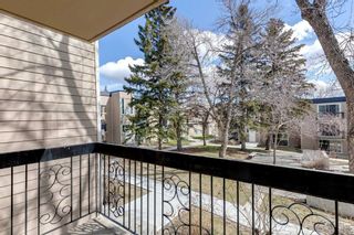 Photo 29: 304 315 Heritage Drive SE in Calgary: Acadia Apartment for sale : MLS®# A2124299