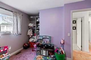Photo 16: 217 Marquis Place SE: Airdrie Detached for sale : MLS®# A1175699