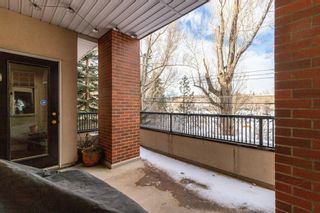 Photo 22: 210 1110 5 Avenue NW in Calgary: Hillhurst Apartment for sale : MLS®# A1072681