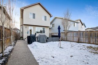 Photo 35: 50 Cranberry Green SE in Calgary: Cranston Detached for sale : MLS®# A1175127