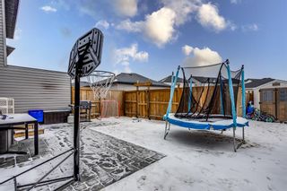 Photo 23: 1210 Kings Heights Way SE: Airdrie Semi Detached for sale : MLS®# A1204187
