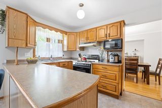 Photo 9: 262 Foxmeadow Drive in Winnipeg: Linden Woods Residential for sale (1M)  : MLS®# 202313708