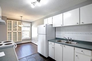 Photo 5: 403 616 15 Avenue SW in Calgary: Beltline Apartment for sale : MLS®# A2004958