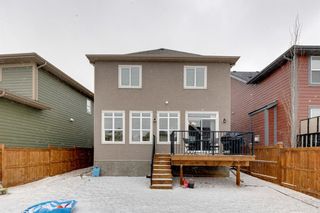 Photo 41: 16 Masters Common SE in Calgary: Mahogany Detached for sale : MLS®# A1203058