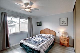 Photo 17: 23 Emberdale Way SE: Airdrie Detached for sale : MLS®# A2022990