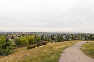 Photo 33: 201 MACEWAN PARK View NW in Calgary: MacEwan Glen Detached for sale : MLS®# C4232497