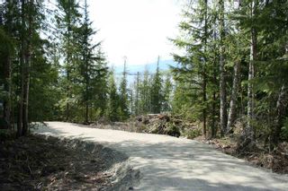 Photo 4: 4533 Rea Road in Eagle Bay: Waterfront Lot Land Only for sale : MLS®# 10058088