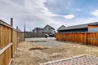 Photo 3: 484 COPPERPOND BV SE in Calgary: Copperfield House for sale : MLS®# C4292971